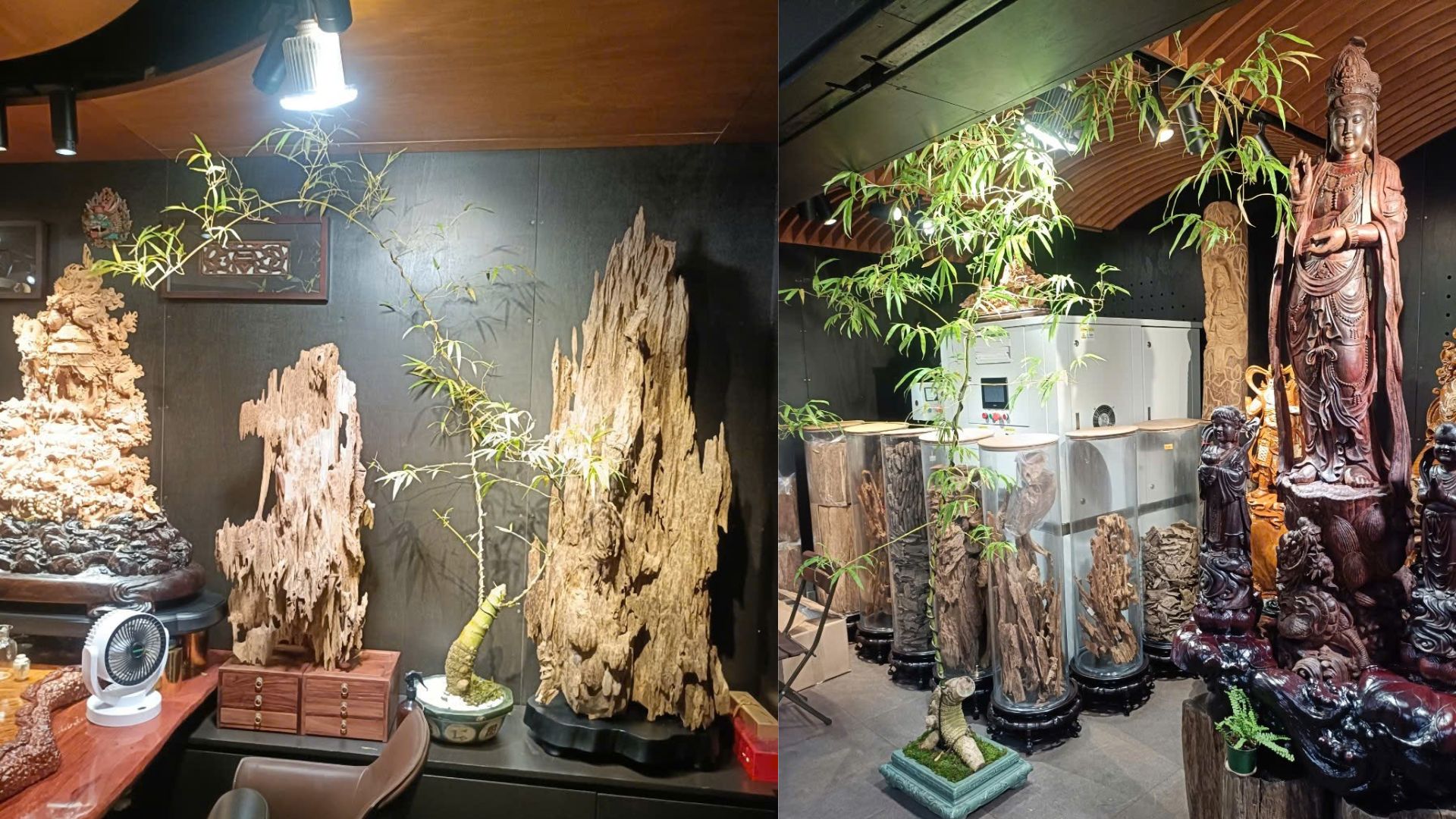 Quy Trình Trồng Tre Trúc